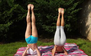 ALS Scan invites you to browse their xxx pictures with Evelina Darling and Gina Gerson in the exciting lesbian interlude